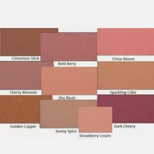 Mary Kay Mineral Cheek